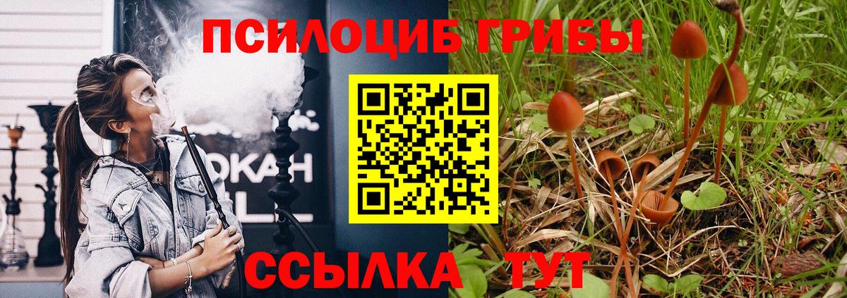 Псилоцибиновые грибы Psilocybe  Вход с VPN  Симферополь 