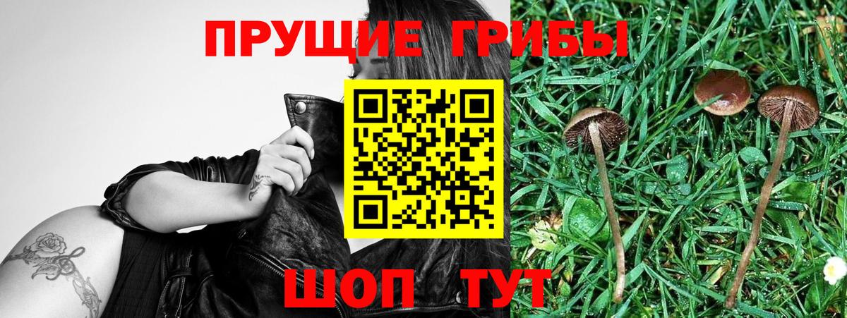 Галлюциногенные грибы GOLDEN TEACHER Симферополь